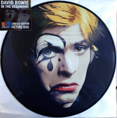 DAVID BOWIE &quot;In The Beginning&quot; (BOWIE29 PICTURE LP)