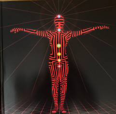 BLACK EYED PEAS &quot;The E.N.D&quot; (2LP)