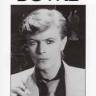 Виниловая пластинка David Bowie ‎