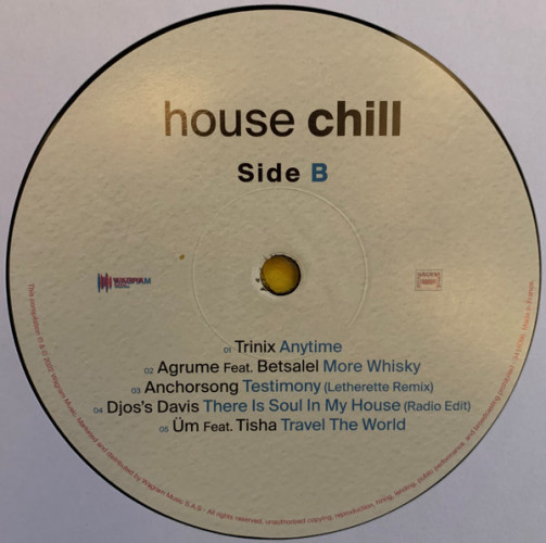 Виниловая пластинка VARIOUS ARTISTS "House Chill" ( LP)