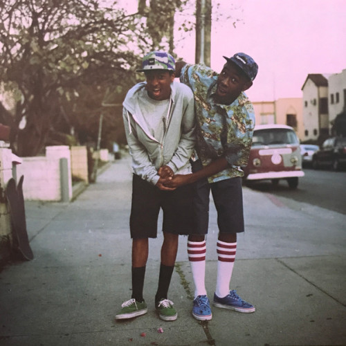 Виниловая пластинка TYLER THE CREATOR "Goblin" (2LP)