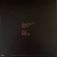 BETH GIBBONS "Lives Outgrown" (LP)