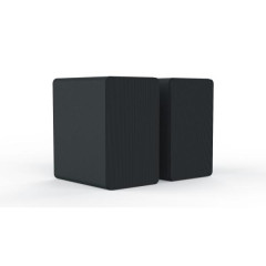 Music Public Kingdom BS100