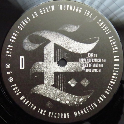 Виниловая пластинка EVERLAST "Embers To Ashes" (2LP)