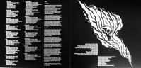 Виниловая пластинка EVERLAST "Embers To Ashes" (2LP)