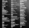 Виниловая пластинка EVERLAST "Embers To Ashes" (2LP)