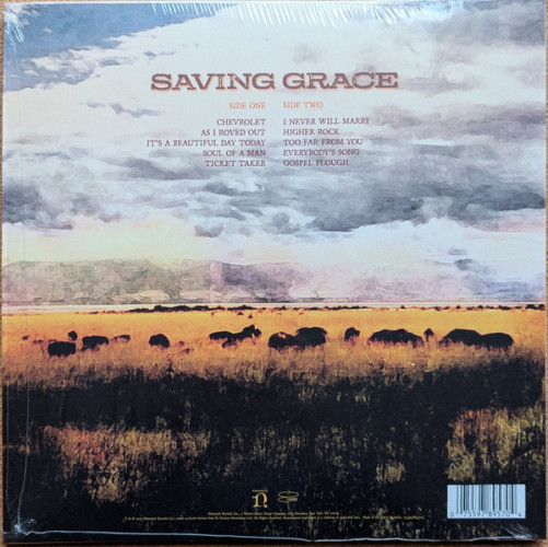 Виниловая пластинка ROBERT PLANT & SUZI DIAN "Saving Grace" (LP) 