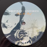 Виниловая пластинка ROBERT PLANT & ALISON KRAUSS "Raise The Roof" (2LP)
