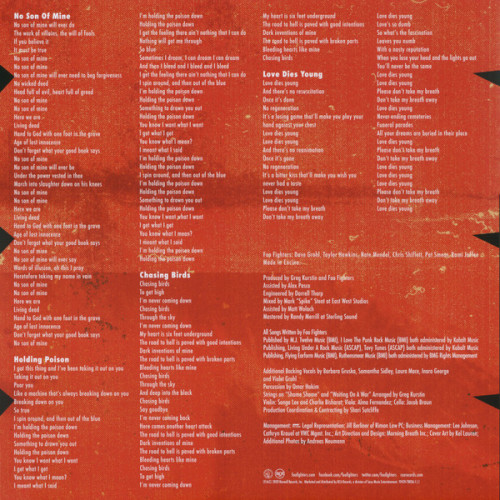 Виниловая пластинка FOO FIGHTERS "Medicine At Midnight" (LP)