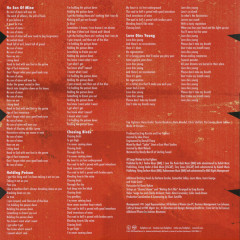 FOO FIGHTERS "Medicine At Midnight" (LP)