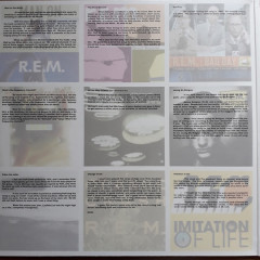 R.E.M. &quot;In Time: The Best Of R.E.M. 1988-2003&quot; (2LP)