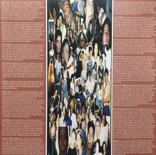 Виниловая пластинка BLINK-182 "Cheshire Cat" (LP) 