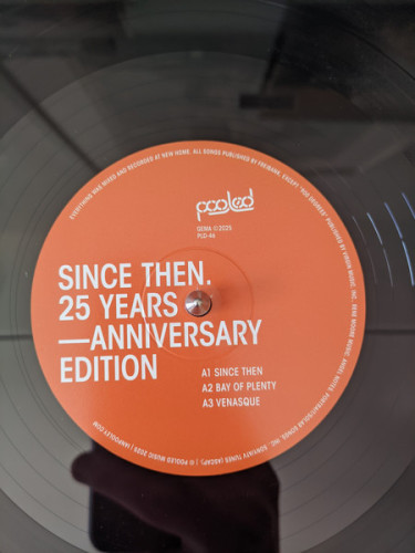 Виниловая пластинка IAN POOLEY "Since Then. (25 Years - Anniversary Edition)" (2LP)