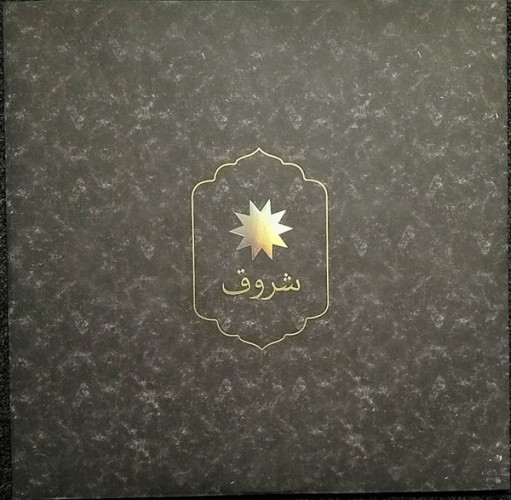 Виниловая пластинка COLDPLAY "Everyday Life" (2LP)