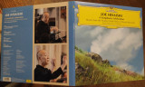 Виниловая пластинка JOE HISAISHI "Joe Hisaishi (A Symphonic Celebration)" (OST 2LP)