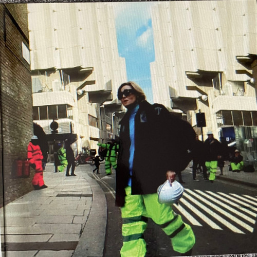 Виниловая пластинка ROISIN MURPHY "Take Her Up To Monto!" (2LP) 