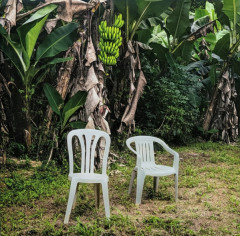 BAD BUNNY "Debí Tirar Más Fotos" (WHITE 2LP)