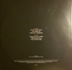 INTERPOL "Our Love To Admire" (NM/NM 2LP)