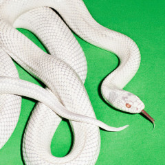 DEFTONES "Private Music" (BLUE LP)