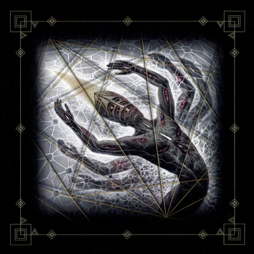 Виниловая пластинка TOOL "Fear Inoculum" (2LP) 