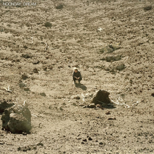 Виниловая пластинка BEN HOWARD "Noonday Dream" (2LP) 