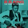 Пластинка B.B.KING 