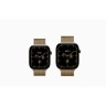 Умные часы Apple Watch Series 12 46mm Titanium Case Milanese Loop (S/M) 
