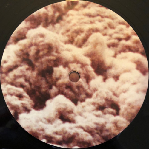 Виниловая пластинка TRENTEMOLLER "Into The Great Wide Yonder" (2LP)