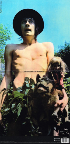 Виниловая пластинка FLEETWOOD MAC "Mr. Wonderful" (MOVLP644 LP) 