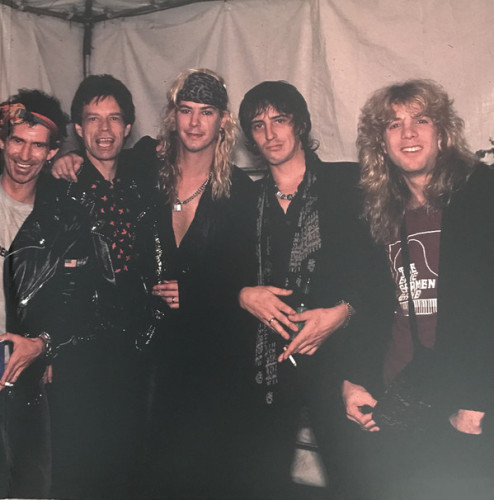 Виниловая пластинка GUNS N ROSES "Under The Covers" (CLEAR LP)