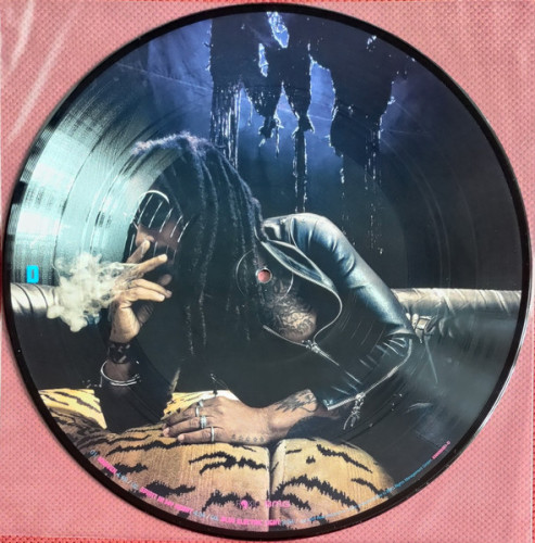 Виниловая пластинка LENNY KRAVITZ "Blue Electric Light" (PICTURE 2LP) 