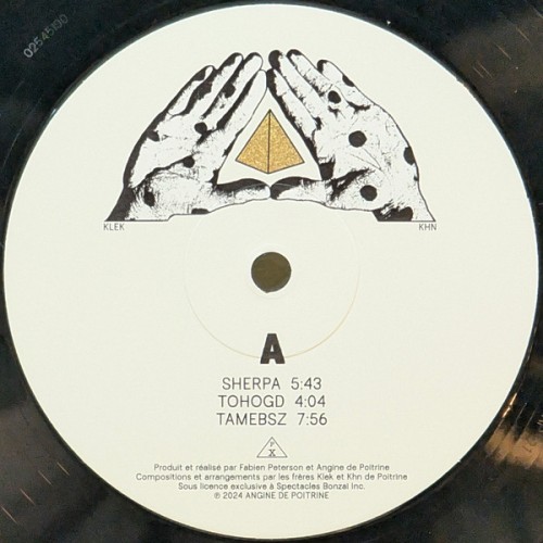 Виниловая пластинка ANGINE DE POITRINE "Vol.1" (LP) 