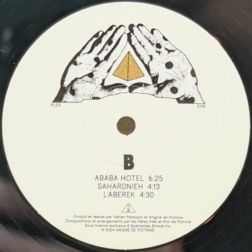 Виниловая пластинка ANGINE DE POITRINE "Vol.1" (LP) 