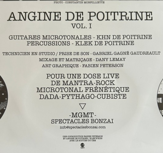 Виниловая пластинка ANGINE DE POITRINE "Vol.1" (LP) 
