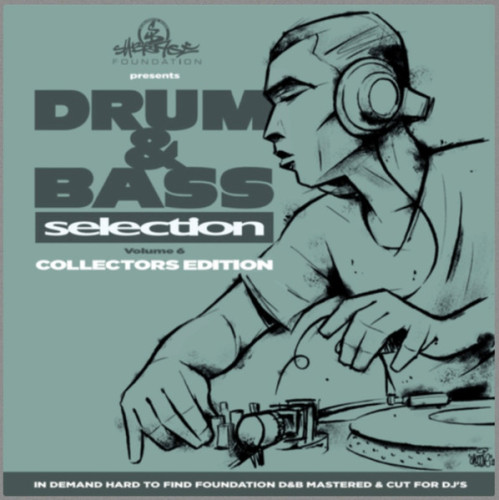 Виниловая пластинка VARIOUS ARTISTS "Drum & Bass Selection Volume 6 (Collector`s Edition)" (2LP) 