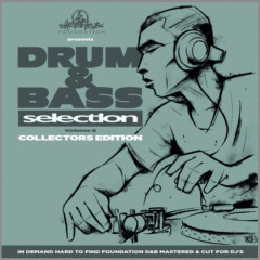 VARIOUS ARTISTS "Drum & Bass Selection Volume 6 (Collector`s Edition)" (2LP)