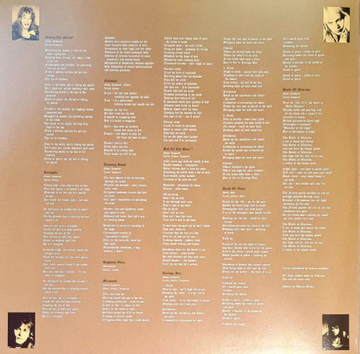 Виниловая пластинка RUNNING WILD "Death Or Glory" (2LP)