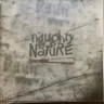Виниловая пластинка NAUGHTY BY NATURE "Poverty`s Paradise" (COLORED 2LP+7``)