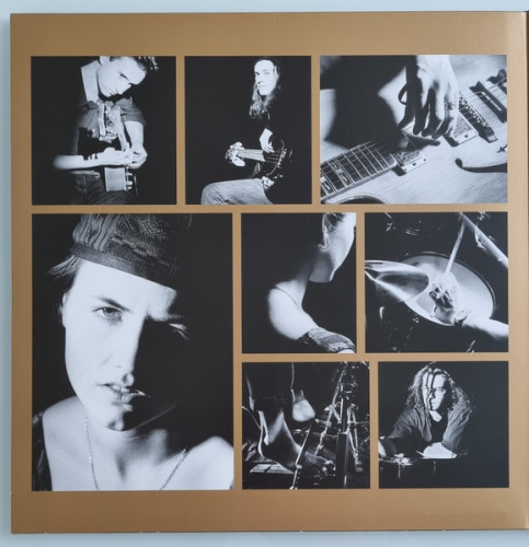 Виниловая пластинка CRANBERRIES "Everybody Else Is Doing It, So Why Cant We?" (GREEN LP)