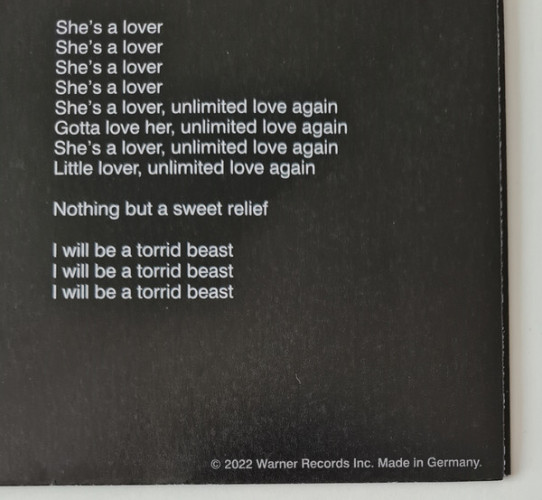 Виниловая пластинка RED HOT CHILI PEPPERS "Unlimited Love" (BLUE 2LP) 