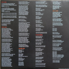 RED HOT CHILI PEPPERS "Unlimited Love" (BLUE 2LP)