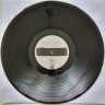 Виниловая пластинка BAD RELIGION "True North" (LP) 