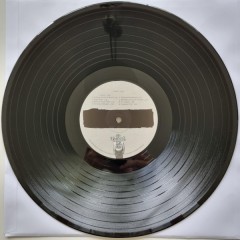 BAD RELIGION "True North" (LP)