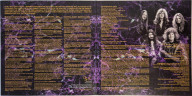 Виниловая пластинка WHITESNAKE "The Purple Album : Special Gold Edition" (GOLD 2LP)