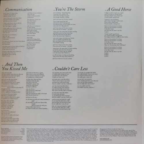 Виниловая пластинка CARDIGANS "Long Gone Before Daylight" (2LP)