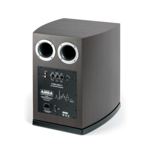 Активный сабвуфер Premiera DS-10SA 
