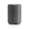 Беспроводная Multiroom колонка Audio Pro A10 MkII