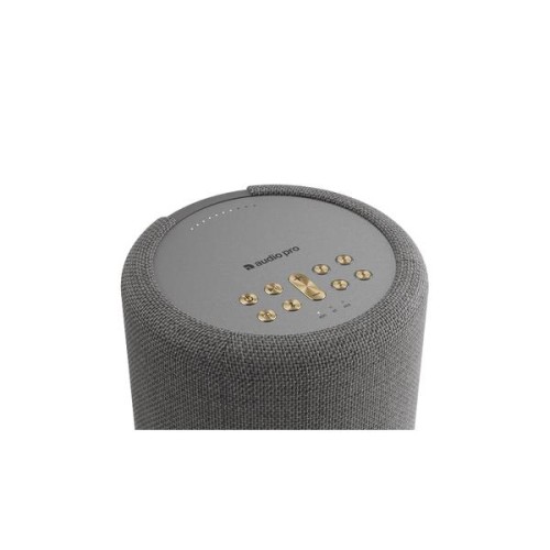 Беспроводная Multiroom колонка Audio Pro A10 MkII