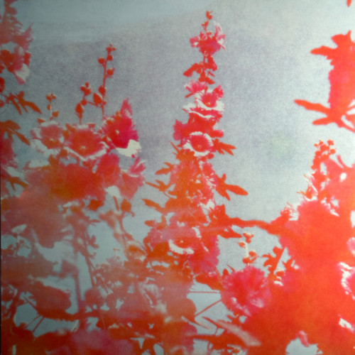 Виниловая пластинка LANA DEL REY "Did You Know That There`s A Tunnel Under Ocean Blvd" (PINK 2LP) 