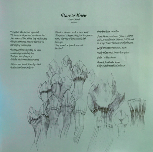 Виниловая пластинка YES "The Quest" (2LP+2CD)